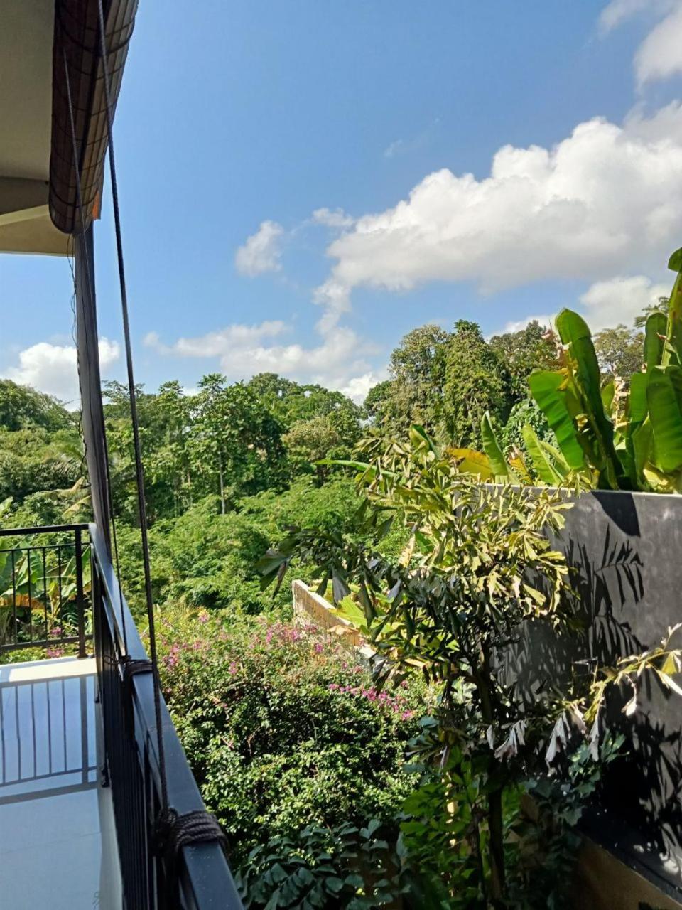 Lavista Guesthouse Ubud Kültér fotó
